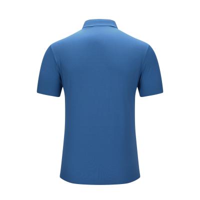 Polo Shirt - Womens
